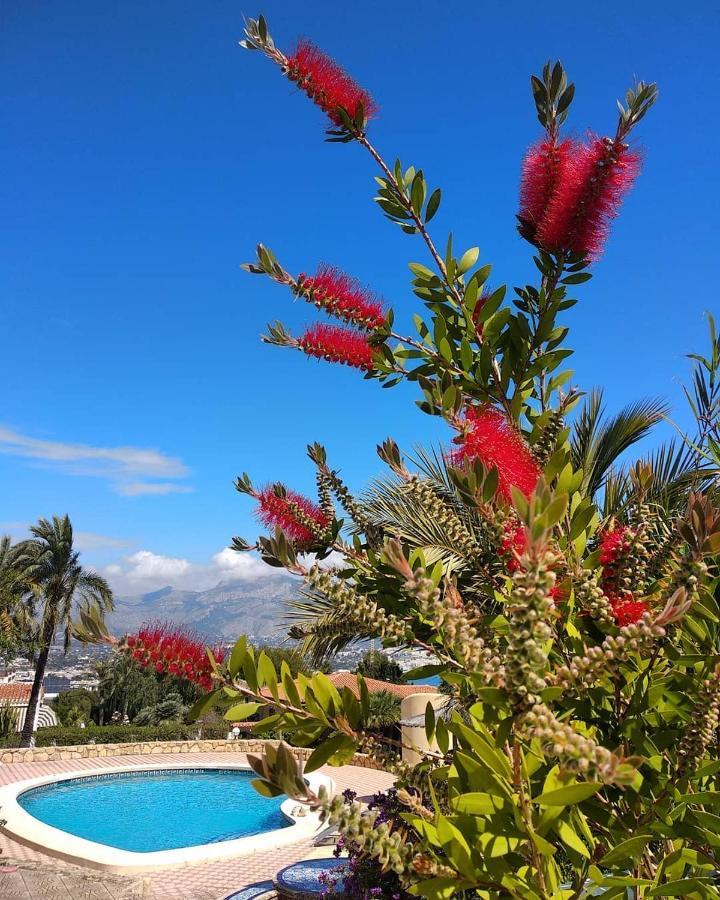 Albir Resort El Albir Luaran gambar