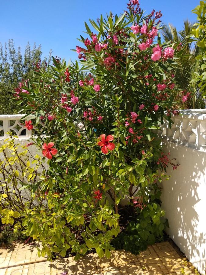 Albir Resort El Albir Luaran gambar
